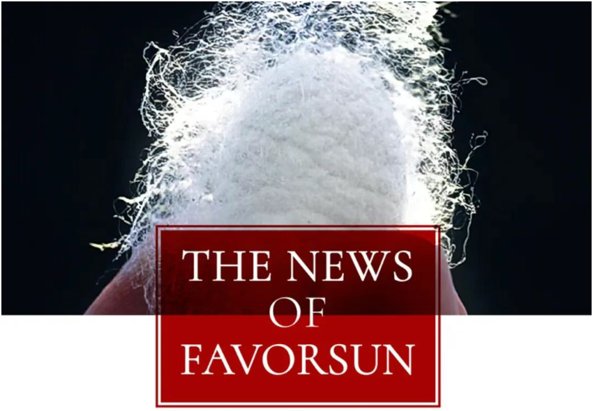 Favorsun Aesthetics: From Lab to Market - Medical Device Production License Approved, Ushering in a 