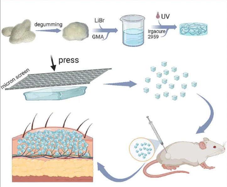 Literature Review: Silk Fibroin Hydrogel Microspheres as Injectable Long-Acting Dermal Fillers